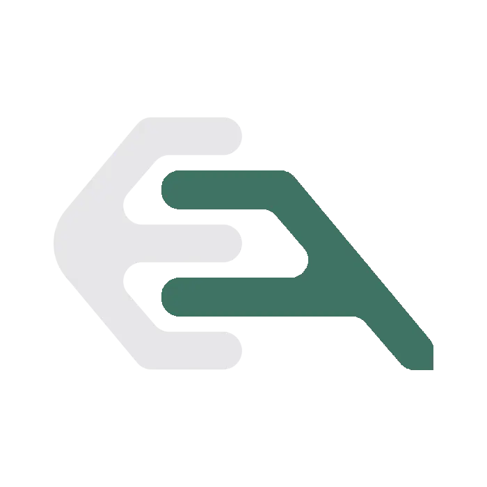 enetiq flows logo 01
